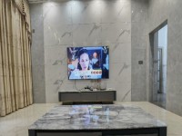河西鄉(xiāng)村別墅，占地100平全新精裝未入住 河西私宅