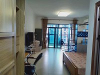 環(huán)境好，裝修精致，家具電器齊全，拎包入住 東湖天下