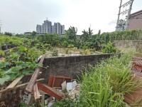 其它圖
