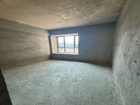 其它圖