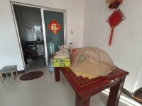 其它圖