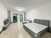 東湖天下50㎡1室1廳1衛(wèi)1陽(yáng)臺(tái)精裝出租 東湖天下