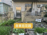 河西別墅，前后10米，三面見光 頤和華府