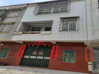 河西私宅交通便利毛坯5室5廳4衛(wèi)1陽(yáng)臺(tái)盡 河西私宅