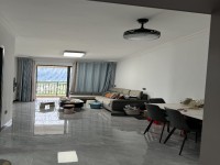 難得一見(jiàn)的綿登廣場(chǎng)精裝小戶型 總價(jià)低，朝 綿登廣場(chǎng)