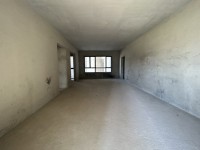 精品好房，樓層好，視野廣，星海灣4室2廳 星海灣