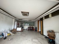 市中心步梯 精裝修 126方 新凈大三房 春暉豪苑