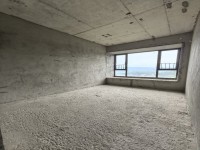 國鼎中央公園 三房兩廳視野開闊，可毛坯可 國鼎中央公園
