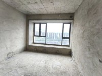 國(guó)鼎紅盤 大平層 南北對(duì)流雙陽臺(tái)4房雙套 國(guó)鼎中央公園