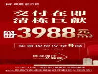 3988買國(guó)鼎 新天地