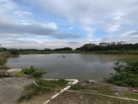 其它圖