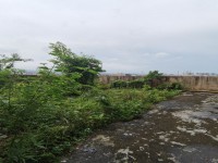其它圖
