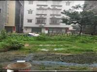 河西地皮，占地8×9，前后8米路，三面見 河西地皮
