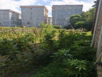 城北地皮 8X10 前后8米路 報(bào)建五層 城北地皮
