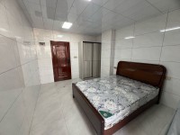 河西電梯公寓有套間550，一房780，兩 河西私宅