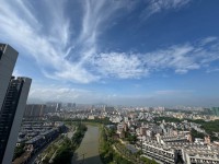 電梯高層，光線充足 國鼎中央公園