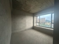 其它圖