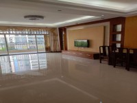 電梯房，河西中心位置 新暉雅苑