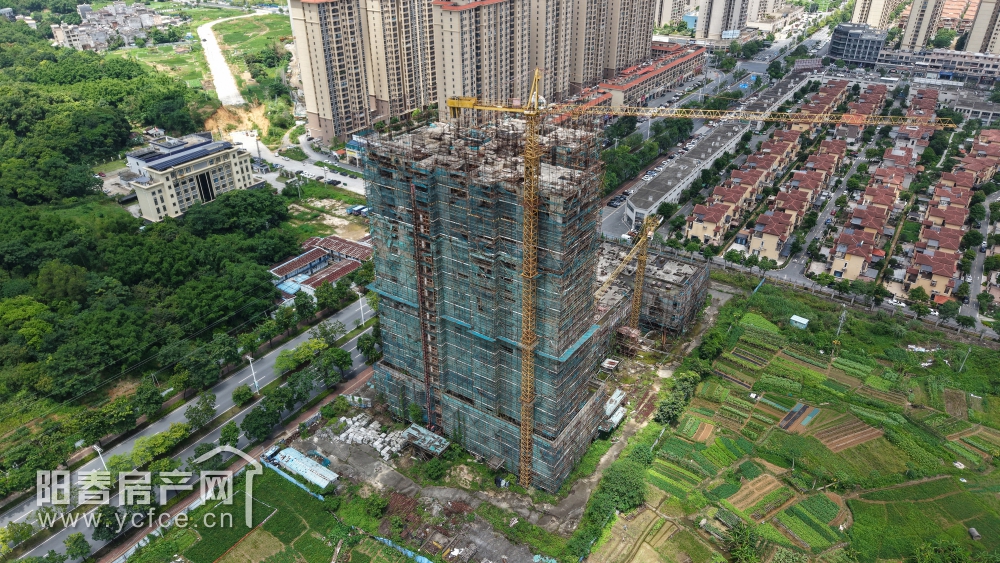 DJI_20250628113208_0010_D_F.JPG